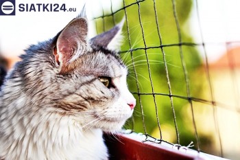 Siatki Ciechocinek - Siatka na balkony dla kota i zabezpieczenie dzieci dla terenów Ciechocinka